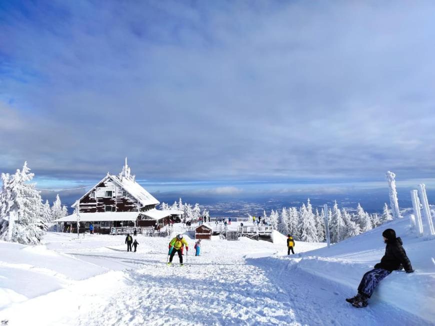 Osrodek Wypoczynkowy Zapalenica Bed and Breakfast Szczyrk Buitenkant foto